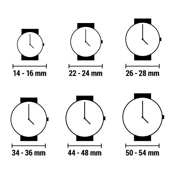 Men's Watch Philip Watch R8253597126-1
